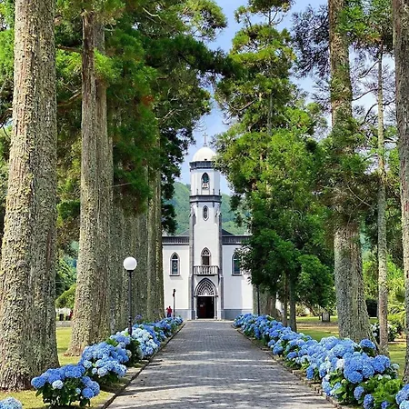 The Cedar Tree * Sete Cidades