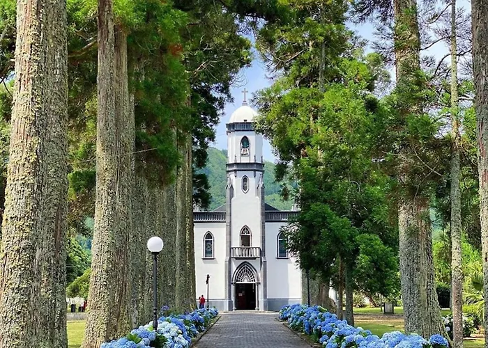 The Cedar Tree * Sete Cidades